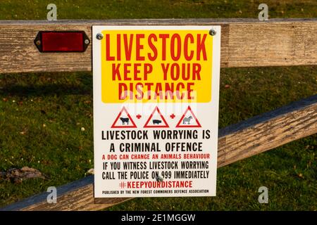 England, Hampshire, New Forest, Halten Sie Ihre Entfernung Von Tieren Warnschild Stockfoto