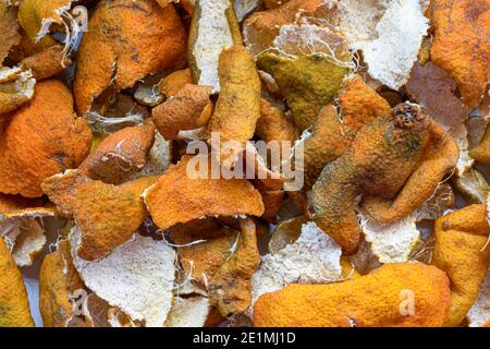 Bild von hausgemachter kandierter Orangenschale unter der Sonne für getrockneten Prozess auf einer weißen Oberfläche. Stockfoto
