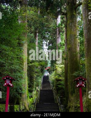 Am frühen Morgen Blick auf die Treppe, die zu Hakone Jinja (箱根神社), die auf halber Höhe der Seite eines großen Hügels, der an den Rand des Sees grenzt sitzt Stockfoto