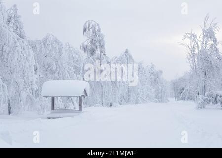 Verschneite hölzerne Gartenlaube mit Picknicktisch in einer Schneeverwehung nach Ein starker Schneefall in einem frostigen Winterpark Stockfoto