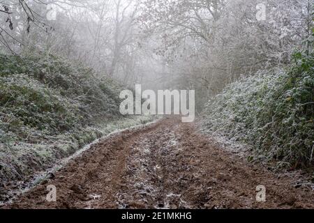 Ein schlammiger Weg durch Wald. An einem frostigen Wintertag in der englischen Landschaft, Malvern Hills, Worcestershire, Großbritannien Stockfoto