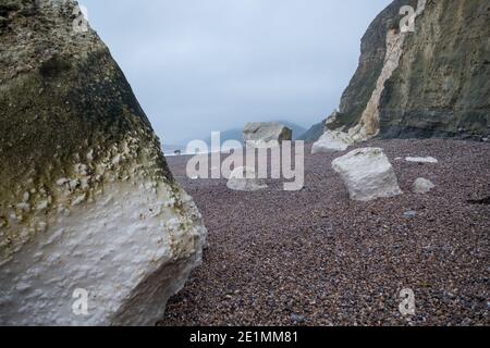 Hooken Cliff, weiße Kreidefelsen am Branscombe Beach, Teil der jurassischen Küste im Herbst, South-East Devon, England Stockfoto