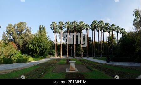 Griechenland Athen Athen Athen National Garden Palmen Stockfoto