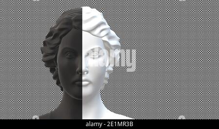 Persönlichkeit, bipolar, geteiltes Persönlichkeitskonzept. Weibliche Silhouette in schwarz weiß auf Illusionshintergrund. 3D-Rendering Stockfoto