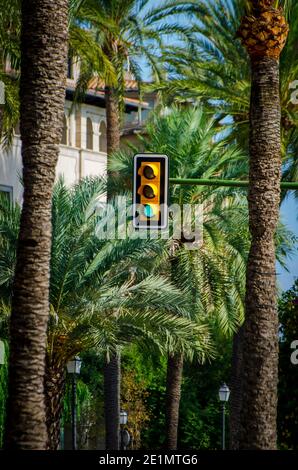 Ampel auf grün in Mallorca, Spanien. Stockfoto