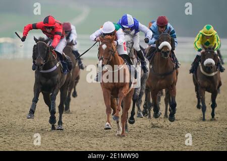 Jumping Cats von Jockey Jamie Moore (vorne in der Mitte) gewinnt das Visit attheraces.com 'Jumpers' Bumper' NH Flat Race auf der Rennbahn Lingfield Park. Stockfoto