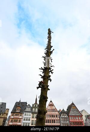 08. Januar 2021, Hessen, Frankfurt/Main: Von Frankfurts Weihnachtsbaum ist nur noch der Stamm übrig, nachdem die Arbeiter die Äste abgesägt haben. Die aus Österreich stammende Fichte mit dem Namen Bertl stand seit dem 19. November 2020 auf dem Römerberg. Foto: Arne Dedert/dpa Stockfoto