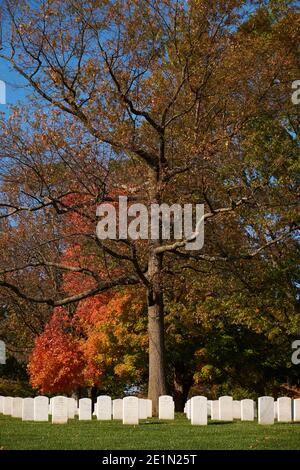Leuchtend rote, orange Herbstblätter, Herbst über identischen Grabsteinen. Auf dem Arlington National Cemetery in der Nähe von Washington DC. Stockfoto