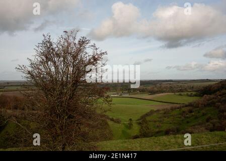 Kingsclere Downs Wiese hügelige Hügel Aussichtspunkt in der Nähe von kingsclere Hampshire Stockfoto