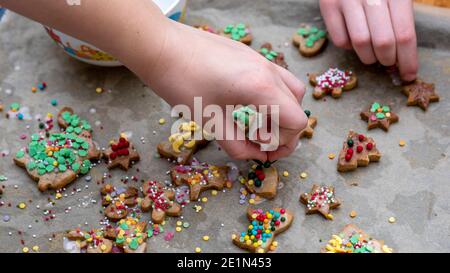 Magdeburg, Deutschland. Dezember 2020. Hausgemachte Weihnachtsplätzchen. Quelle: Stephan Schulz/dpa-Zentralbild/ZB/dpa/Alamy Live News Stockfoto