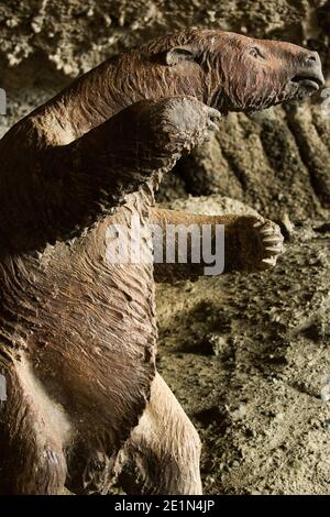 Lebensgroße Nachbildung des prähistorischen riesigen Bodenfaultieres namens Mylodon (Mylodon darwini) in der Milodon-Höhle, in der Nähe von Puerto Natales Patagonia, Chile Stockfoto