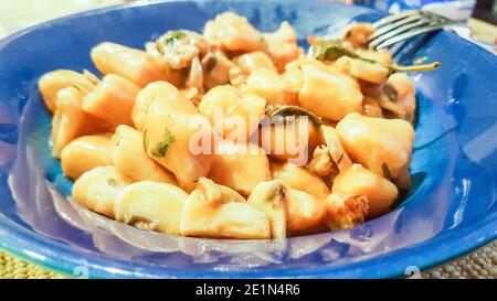 Teller Kartoffel-Gnocchi mit Wurst und Pilzsauce, typisch italienisches Essen Stockfoto