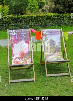 Zwei farbenfrohe, dekorative Liegestühle auf dem Rasen, im Frühjahr (Mai), in Bodnant Gardens, Tal-y-Cafn, Conwy, Wales, Großbritannien Stockfoto