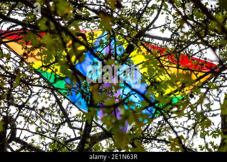 Bunte Drachen in einem Baum stecken Stockfoto