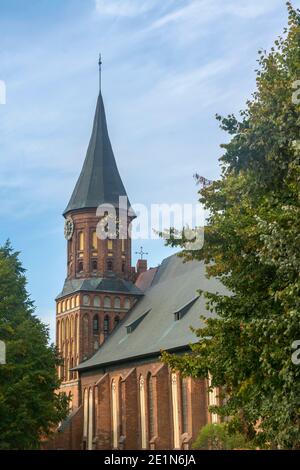 Kaliningrad, Russland - September 2020: Kathedrale auf der Insel Kant, ein alter gotischer Tempel. Selektiver Fokus, verschwommener Hintergrund, Nebelansicht. Stockfoto