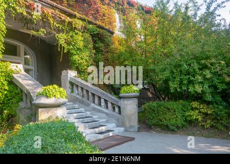 Alte Steintreppe mit Geländern am Eingang zum alten Schloss. Selektiver Fokus, unscharfer Hintergrund. Stockfoto