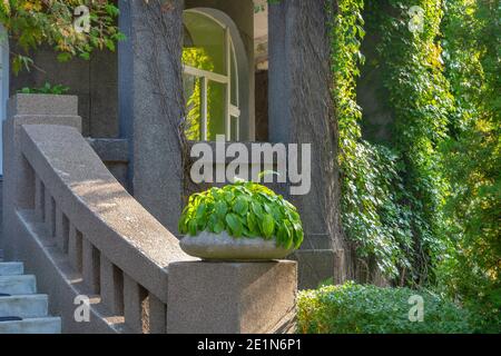 Fragment der Fassade des alten Schlosses mit einer Steintreppe und Säulen. Selektiver Fokus, unscharfer Hintergrund. Stockfoto