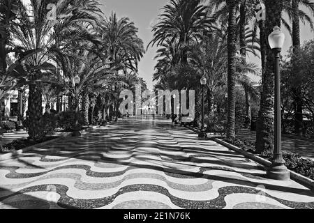 3D-Effekt von gewellte Fliesen- und ebnet entlang der Palmen gesäumten Promenade de Espana in Alicante, Spanien. Stockfoto