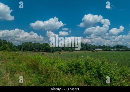 Ackerland mit gerollten Heuballen verstreut auf dem Feld mit Aus Gebäuden Wolken und Wälder in der Ferne auf einem Sonniger Tag im Sommer Stockfoto