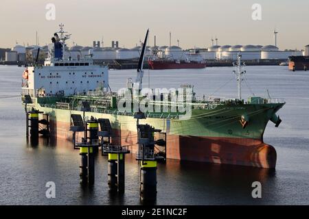 Der Tanker Chem Mercury wird am 18. September 2020 im Hafen von Rotterdam sein. Stockfoto