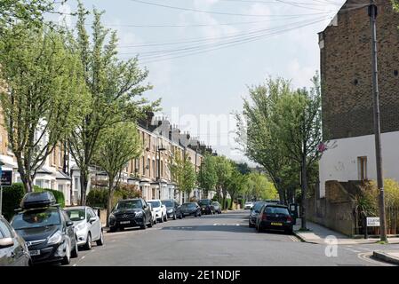 Bryantwood Road, dreistöckige viktorianische Reihenhäuser in einer baumgesäumten Wohnstraße, Lower Holloway N7 London Borough of Islington Stockfoto