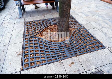 Drainage Metallgitter auf dem Pflasterstein um einen Baumstamm in Budapest, Ungarn Stockfoto