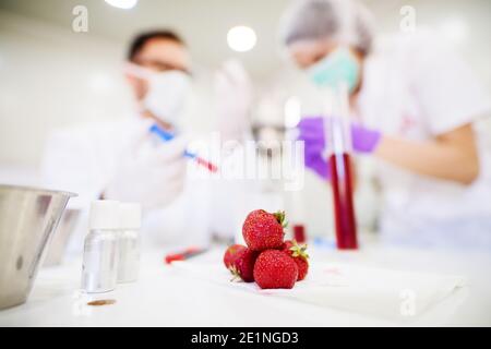 Konzentrierte Erdbeeren in einem wissenschaftlichen Experiment i Labor verwendet. Stockfoto