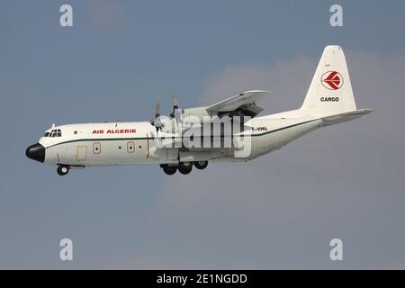 Air Algerie Lockheed L-100 Hercules mit Registrierung 7T-VHL auf Kurzfinale für Start- und Landebahn 25L des Frankfurter Flughafens. Stockfoto