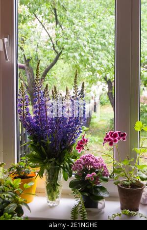 Frühlingsblumen auf der Fensterbank mit Gartenhintergrund Stockfoto