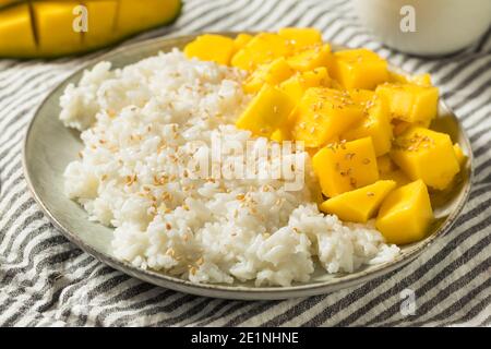 Hausgemachter Mangoreis mit Kokosnuss und Sesamsamen Stockfoto