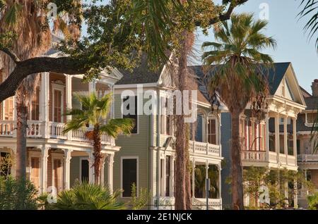 Viktorianische Häuser an der Sealy Avenue im historischen Viertel East End, Galveston, Texas, USA Stockfoto