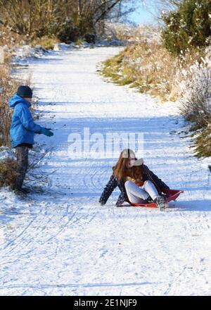 Glasgow, Schottland, Großbritannien. 8., Januar 2021. Der nächtliche Schnee in Glasgow heizt die Kinder in schottischer Lockdown an. Kinder fahren am letzten Wochentag ihres längeren Urlaubs wegen der Sperrung durch das Corona-Virus gerne mit dem Schlitten. Stockfoto