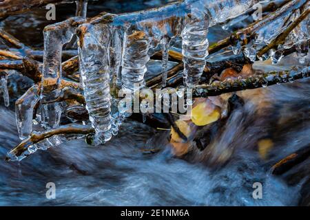 Eiszapfen bilden sich entlang Lehman Creek im Oktober im Great Basin National Park, Nevada, USA Stockfoto