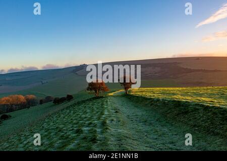 Blick entlang eines Pfades in den South Downs auf einem Frostiger Dezembermorgen Stockfoto