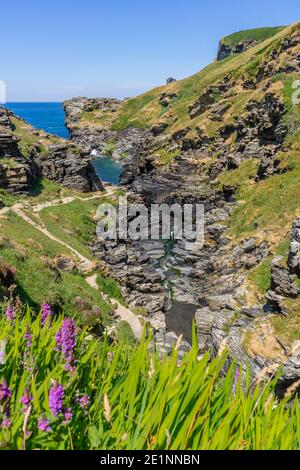 Landschaftlich schöner Blick über das Rocky Valley und den Trevillet River mit Blick auf das Meer im Sommer 2018, Cornwall, England, Großbritannien Stockfoto