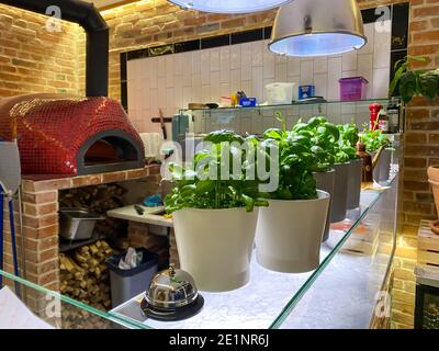 Polen, Torun, 2. Januar 2021. Red Tomato Pizzeria in Toruń, schönes Interieur, warme Atmosphäre, grüne Basilikum Pflanzen Stockfoto