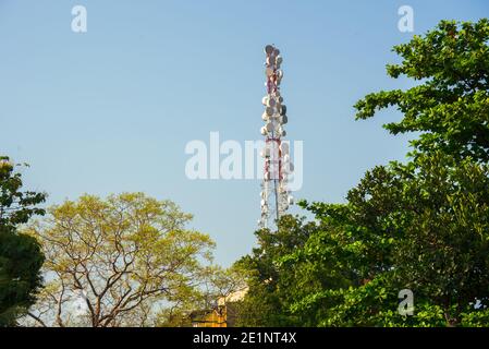 Funkturm für Telekommunikation und Übertragung. Tropische Bäume im Vordergrund. Stockfoto