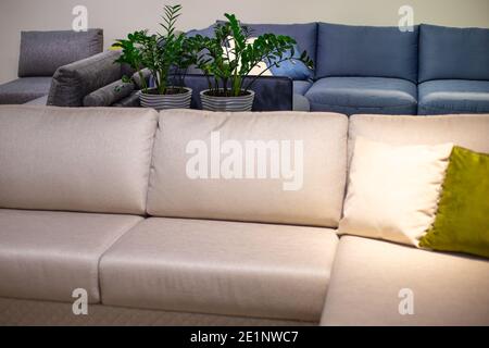 Das Innere des Raumes. Beige großes Sofa mit Kissen, Blumen im Hintergrund. Möbelgeschäft. Stockfoto