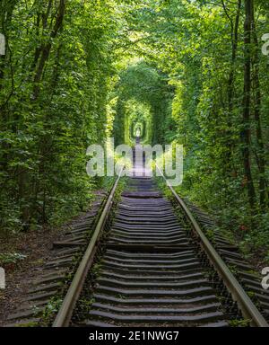 Love Tunnel (Eisenbahnstrecke im Wald bei Kleva, Ukraine. So genannt, weil vorher auf diese Weise Mädchen aus einem nahe gelegenen Dorf und Soldaten aus Stockfoto