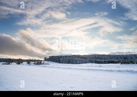 Winterwunderland im Waldviertel, Österreich Stockfoto
