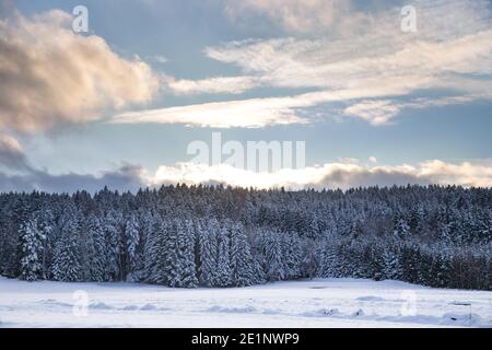 Winterwunderland im Waldviertel, Österreich Stockfoto