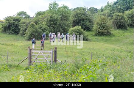 Eine Wandergruppe in Yorkshire Landschaft. Stockfoto