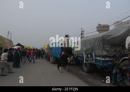 Neu Delhi, Indien. Januar 2021. Farmer mit seinem Pferd führen Stunt während der laufenden Bauern Protest gegen drei Agrargesetz von der Zentralregierung an Delhi Sindhu Grenze in Delhi, Indien. 07. Januar 2021 (Foto: Ishant Chauhan/Pacific Press) Quelle: Pacific Press Media Production Corp./Alamy Live News Stockfoto