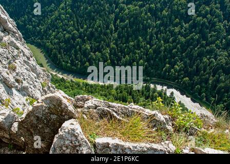 Die Dunajec River Gorge - Blick von der Spitze des Sokolica Mountain. Stockfoto