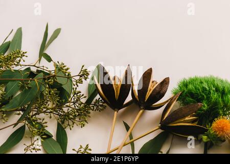 Anordnung von Eukalyptuszweigen, Holzblumen und Chrysanthemen auf weißem Hintergrund Stockfoto