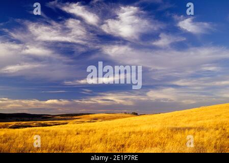 Ranchland, Wallowa County, Oregon Stockfoto