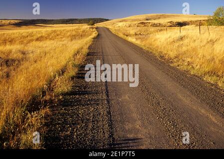 Ranchland Road nördlich von Enterprise, Wallowa County, Oregon Stockfoto