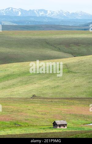 Altes Gehöft auf der Zumwalt Prairie in Oregon. Stockfoto