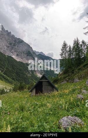 Idyllische Alpenscheune auf Wiese in den slowenischen alpen Stockfoto