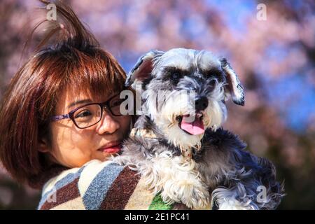 Der kleine Hund mit Besitzer verbringen einen Tag im park spielen und Spaß haben Stockfoto